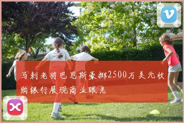 马刺老将巴恩斯豪掷2500万美元收购银行展现商业眼光