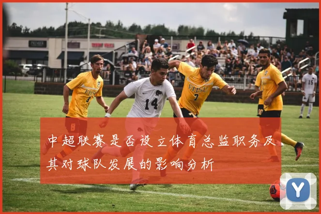 中超联赛是否设立体育总监职务及其对球队发展的影响分析