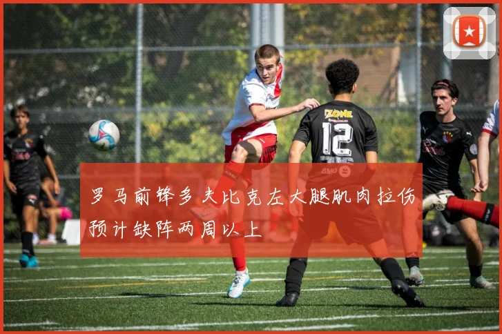 罗马前锋多夫比克左大腿肌肉拉伤预计缺阵两周以上
